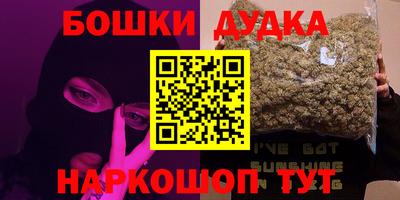 МДПВ Новозыбков