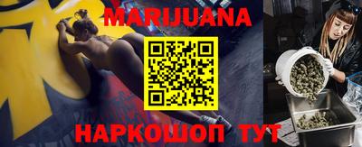 МДПВ Новозыбков