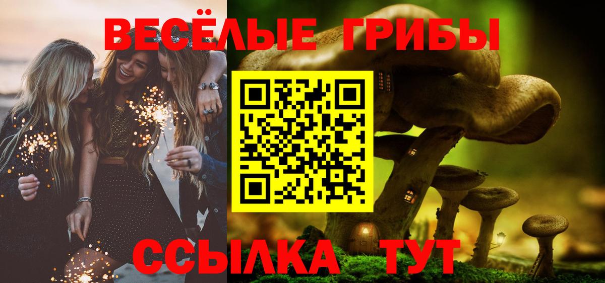 Галлюциногенные грибы GOLDEN TEACHER Сорочинск