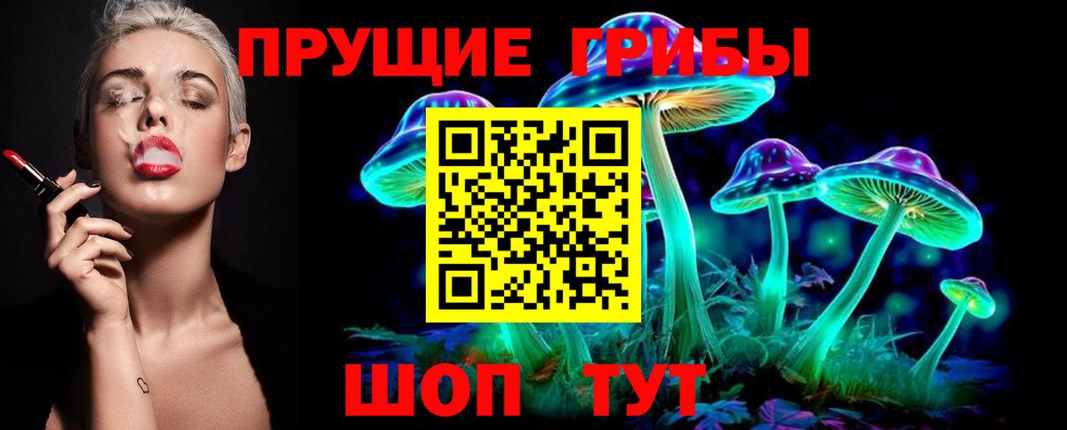 Сорочинск  Галлюциногенные грибы мицелий  Вход с VPN 